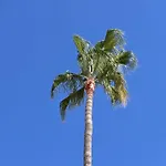 Duque Beachfront Elite