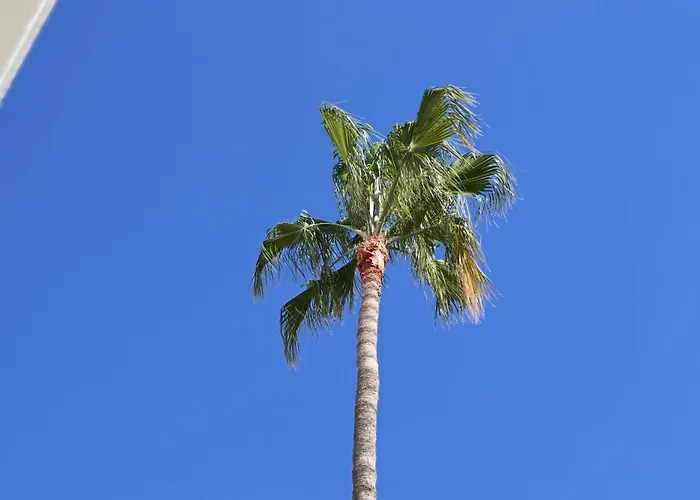 Duque Beachfront Elite